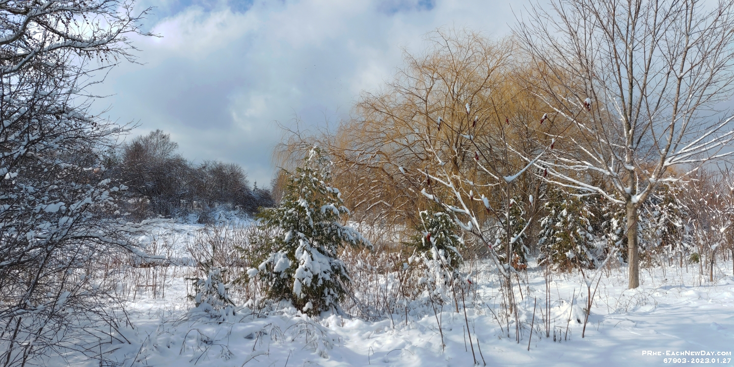67903Pa - A snowy walk by Miller's Creek